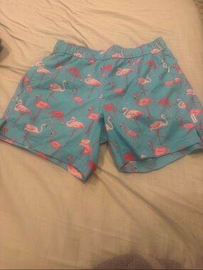 Turquoise Flamingo Print Swim Shorts